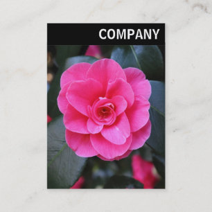 V Header - Pink Camellia Business Card