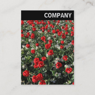 V Header - Red Tulips and Primroses Business Card