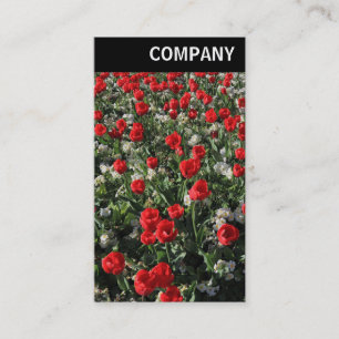 V Header - Red Tulips and Primroses Business Card