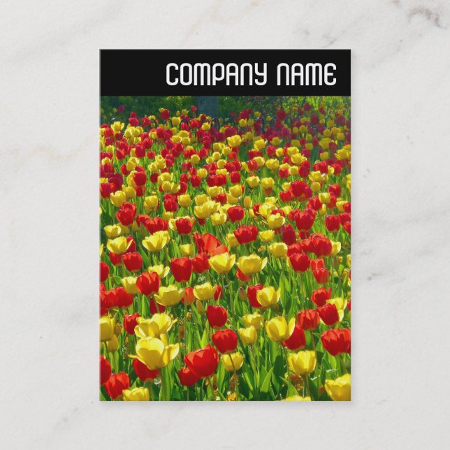 V Header - Sea of Tulips Business Card (Front)