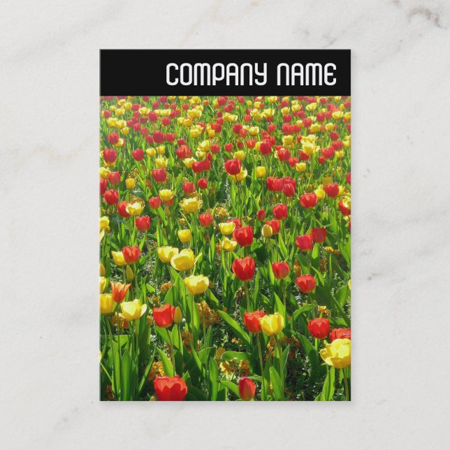 V Header - Sea of Tulips II Business Card (Front)