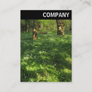 V Header - Spring in the Woods Business Card