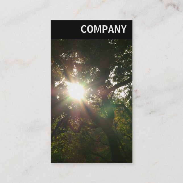 V Header - Sun in the Trees Business Card (Front)