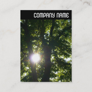 V Header - Sun Through Trees Business Card