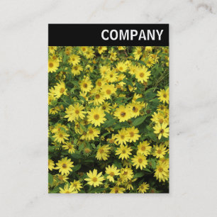 V Header - Yellow Daisies Business Card