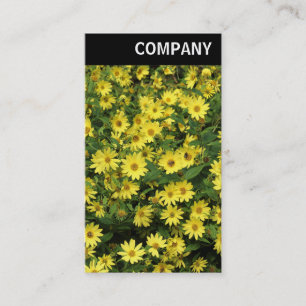 V Header - Yellow Daisies Business Card