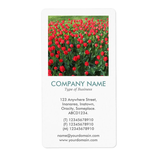 V Square Photo - Bed of Red Tulips (Front)