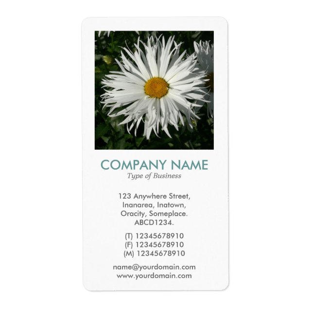 V Square Photo - Candy Tuft Daisy (Front)