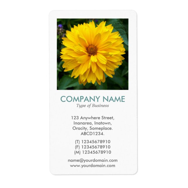 V Square Photo - Chrysanthemum (Front)
