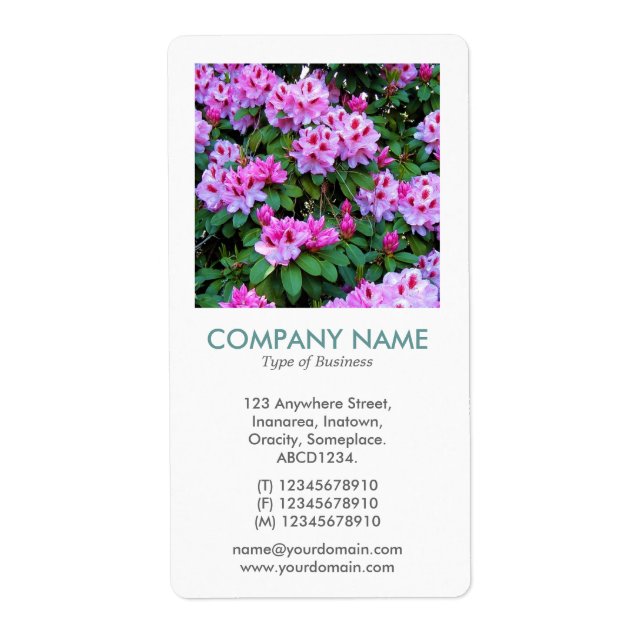 V Square Photo - Rhododendrons (Front)