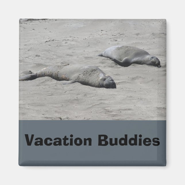Vacation Buddies Magnet (Front)