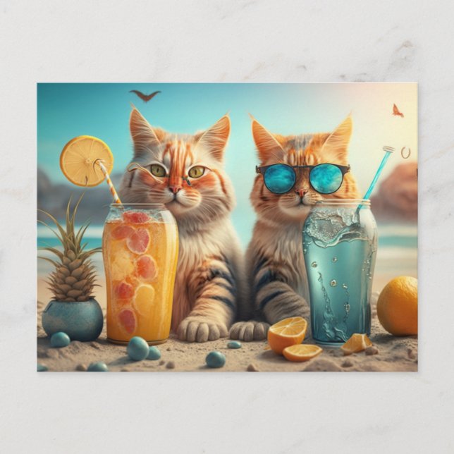 Vacation Cats Postcard (Front)