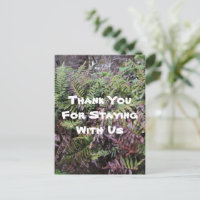 Vacation Rental Cabin Ferns Thank You Guest