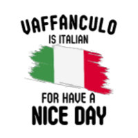 Vaffanculo is italian for have a nice day, Italian