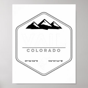 Vail Colorado Snowboard T  Poster