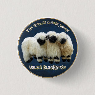 Valais Blacknose - The World's Cutest Sheep! 3 Cm Round Badge
