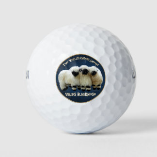 Valais Blacknose - The World's Cutest Sheep! Golf Balls