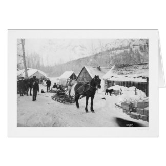 Valdez Trail Horses Alaska 1912