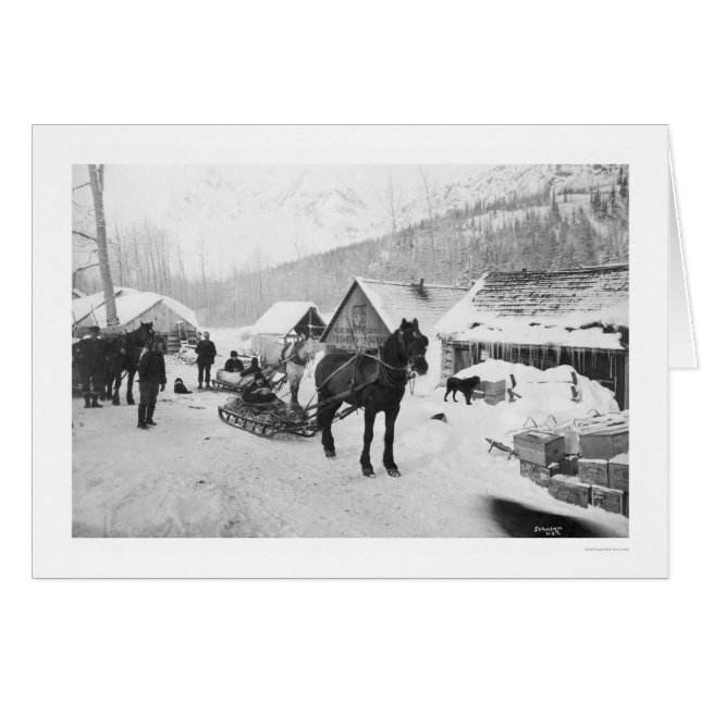Valdez Trail Horses Alaska 1912 (Front Horizontal)