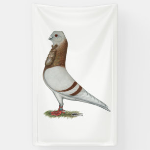 Valencian Figurita Pigeon Banner