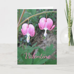Valentine Bleeding Hearts Card