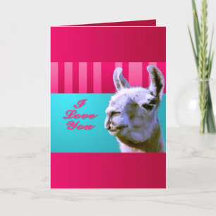 Valentine calls I love you be mine pink red, turqu Holiday Card