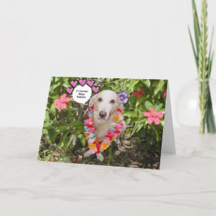 Valentine Card