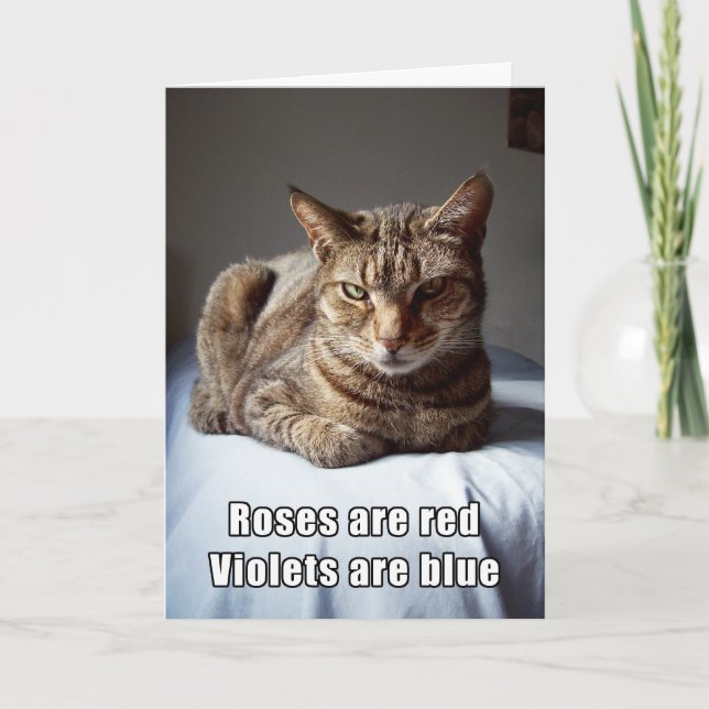 Valentine Cat funny poem Holiday Card (Front)