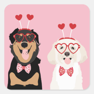 Valentine Dogs Rottweiler Maltipoo Puppy Square Sticker