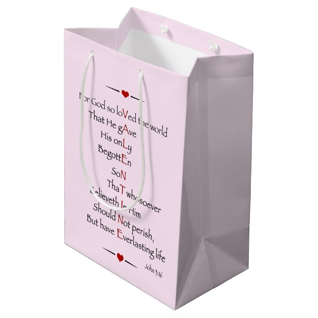 VALENTINE - For God So Loved the World Medium Gift Bag (Back Angled)