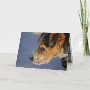 Valentine form the Dog Holiday Card