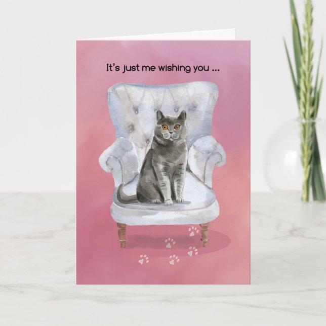 Valentine from Cat Sitting on Chair Card (Front)