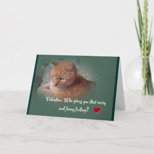 Valentine From the Cat Holiday Card