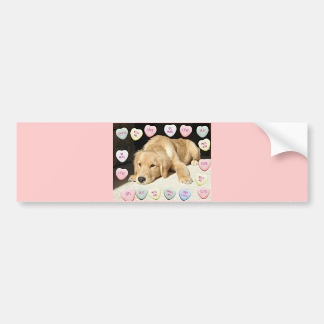 Valentine Golden Retriever Puppy Bumper Sticker (Front)