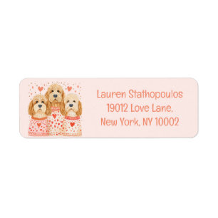 Valentine Goldendoodle Dogs