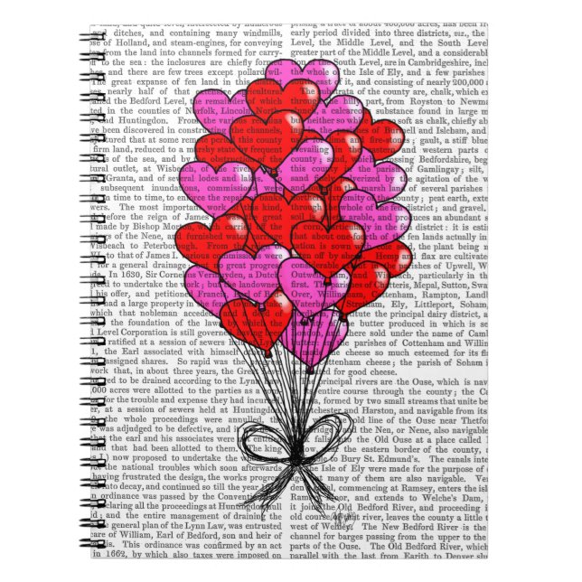 Valentine Heart Balloon Illustration Spiral Notebook (Front)