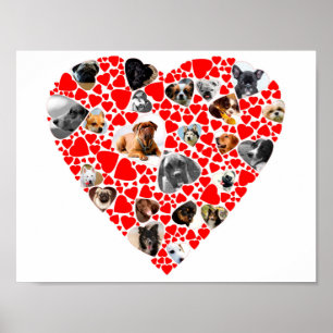 Valentine Heart Dog Photo Collage posters
