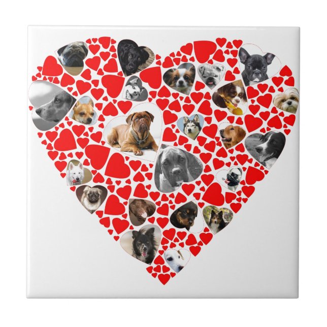 Valentine Heart Dog Photo Collage Tile (Front)