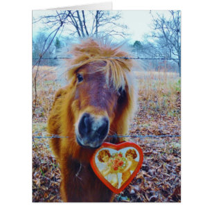 Valentine Heart  Horse