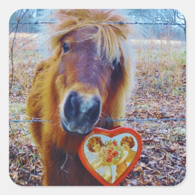 Valentine Heart  Horse Square Sticker (Front)