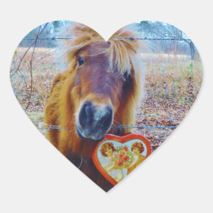 Valentine Heart  Horse Sticker