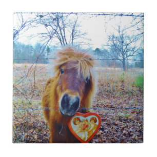 Valentine Heart  Horse Tile