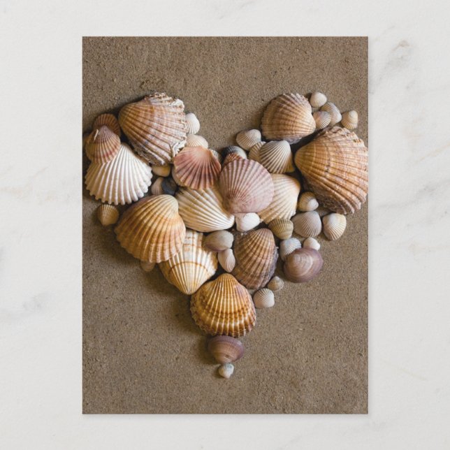 Valentine Heart Made with Shells Holiday Postcard (Front)