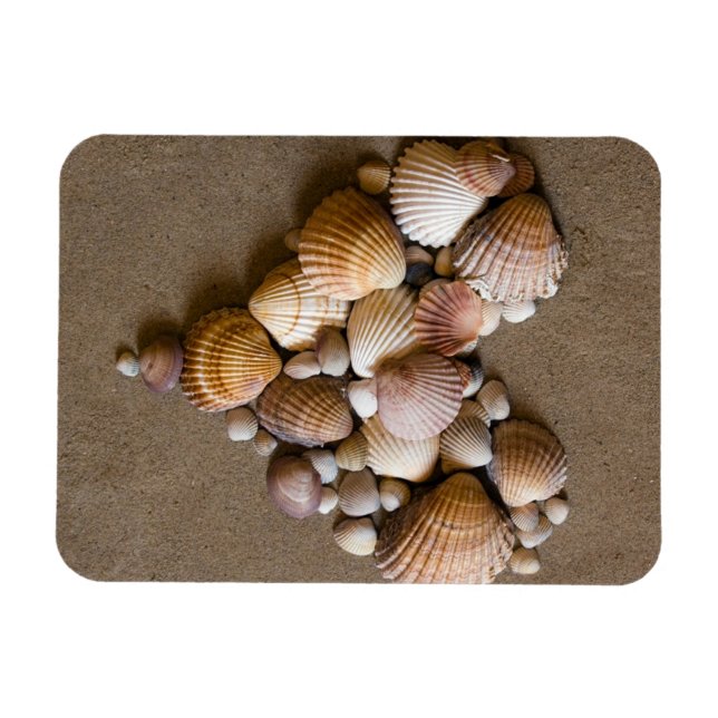 Valentine Heart Made with Shells Magnet (Horizontal)