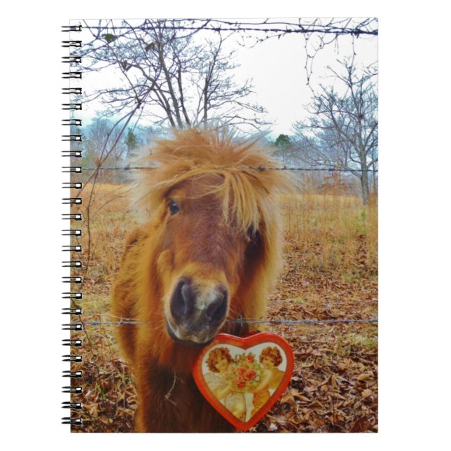 Valentine Heart  Miniature brown Horse Notebook (Front)