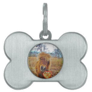 Valentine Heart  Miniature brown Horse Pet Name Tag