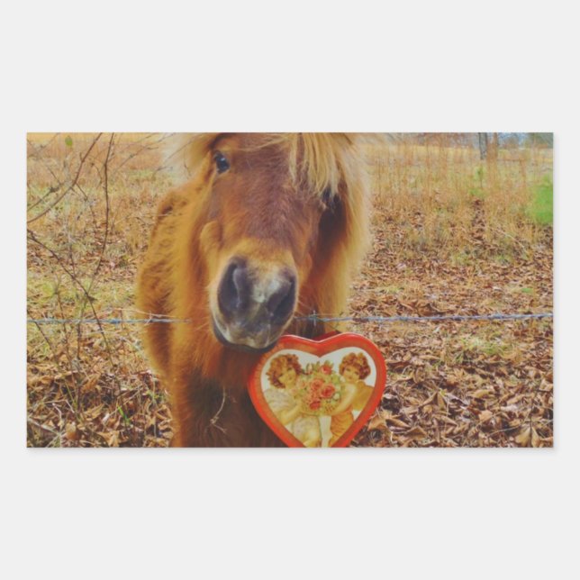 Valentine Heart  Miniature brown Horse Rectangular Sticker (Front)