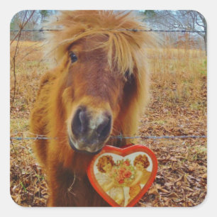Valentine Heart  Miniature brown Horse Square Sticker