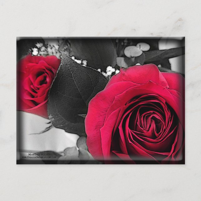 Valentine Holiday Postcard (Front)