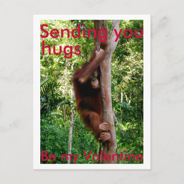 Valentine hug postcard (Front)